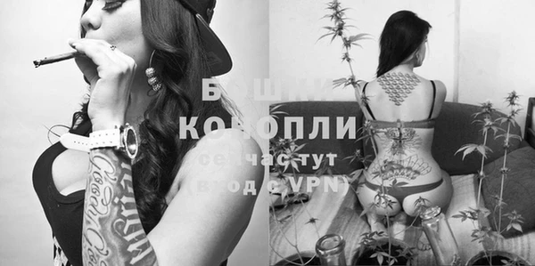 молекула духа Алексин