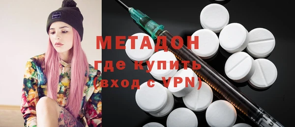 прущие грибы Алзамай