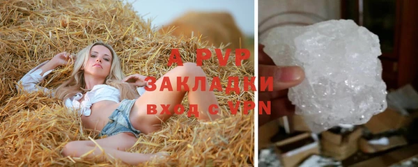 молекула духа Алексин